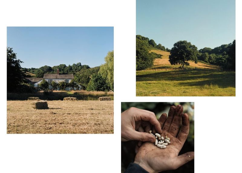 The Farm Table, Julius Roberts