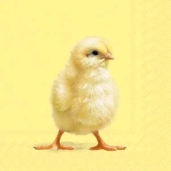 Easter Chick kaffeservietter