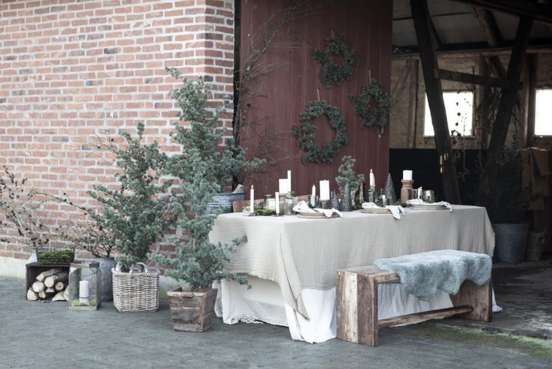 Ib Laursen Juletre/cedertre 