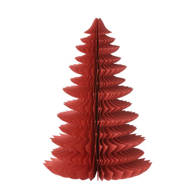 Hovedbilde Papirtre Wispwood Ruby red 26cm 