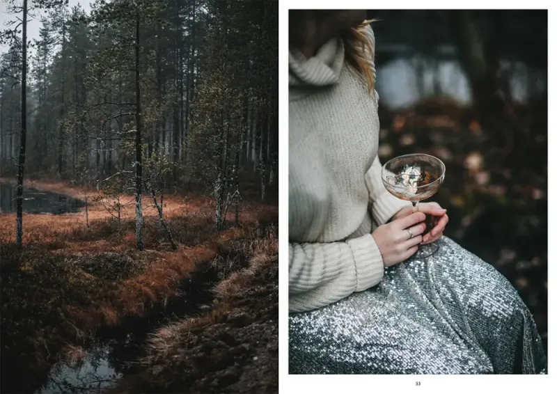 Nordic Winter Cookbook, Viola Minerva Virtamo