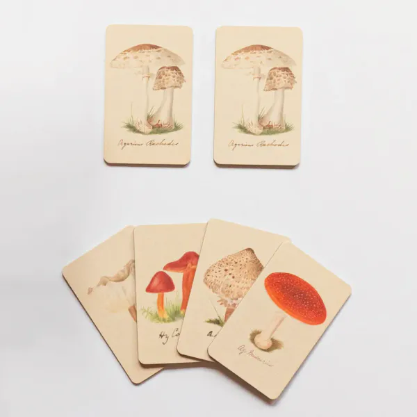 Roomytown Fungi Memory Game 