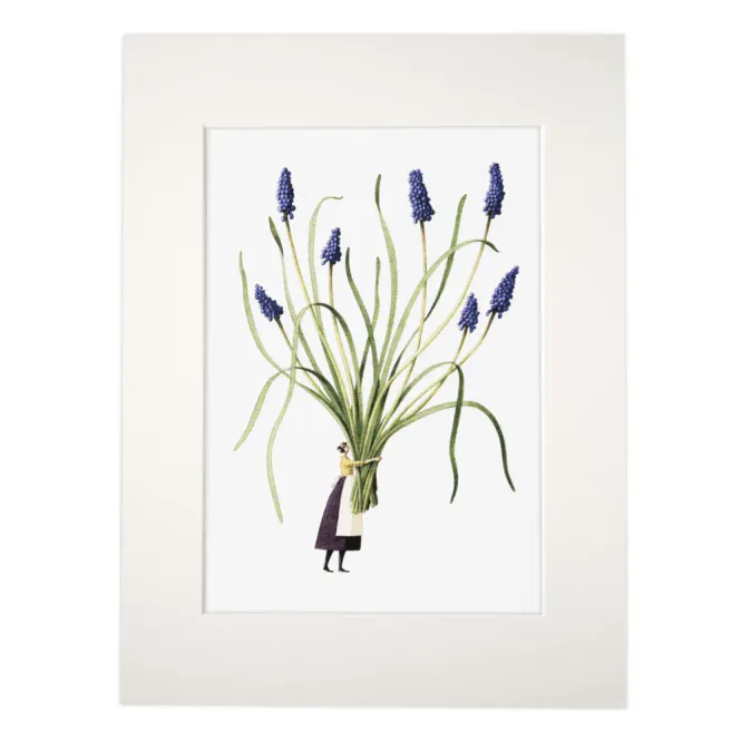 Hovedbilde Laura Stoddart A4 Print - Muscari