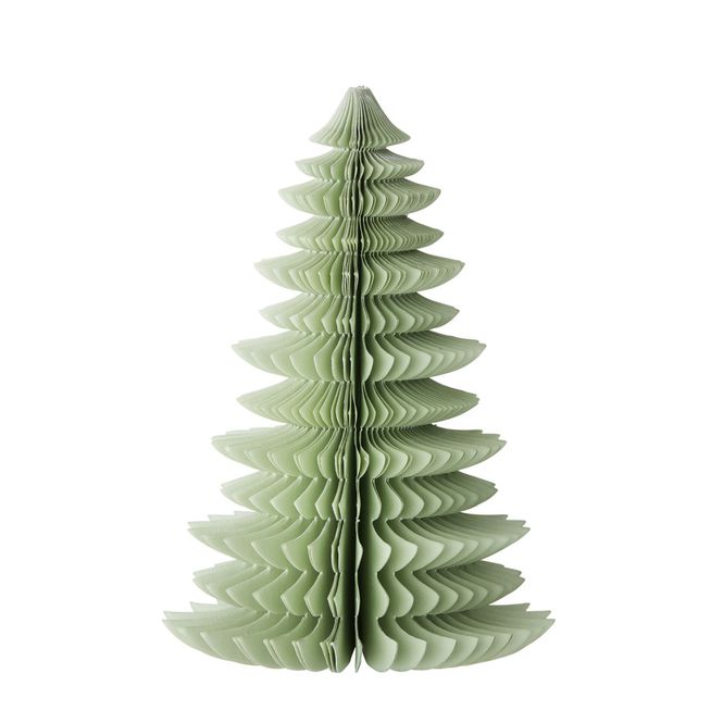 Hovedbilde Papirtre Wispwood Ming green 18cm 