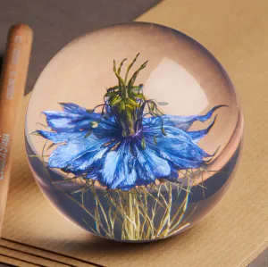 Hovedbilde Hafod Grange Nigella paperweight S