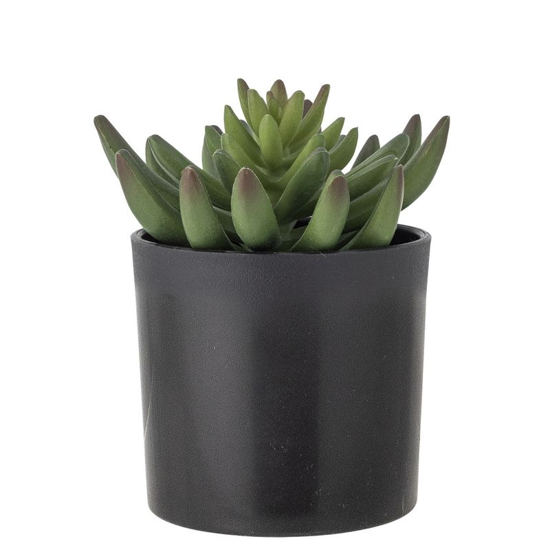 Echeveria Kunstig plante